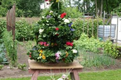 kronenfest_2013_krone_binden_107