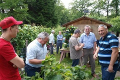kronenfest_2013_krone_binden_2