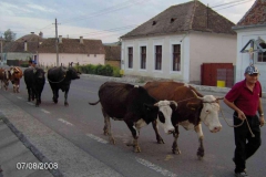 rumaenien_04_2008_111