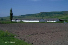 rumaenien_04_2008_7