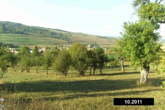 rumaenien_10_2011_13