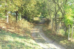 rumaenien_10_2011_15