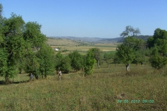rumaenien_2015_dietmar_24
