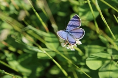 rumaenien_2015_martin_buck_61